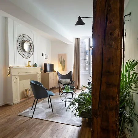 Le Toucan By Cocoonr Appartement